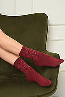Носки махровые женские бордового цвета размер 36-41 152747L