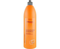 Prosalon Shampoo regenerating Milk & Honey Шампунь регенерирующий с молоком и медом ,1000 ml