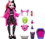 Лялька Монстер Хай Дракулаура Monster High Draculaura Creepover Party Doll Піжамна вечірка HKY66 Mattel Оригинал, фото 3