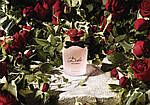 Dolce & Gabbana Dolce Rosa Excelsa парфумована вода 75 ml. (Дольче Габбана Дольче Троянда Екселса), фото 4