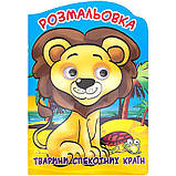 Розмальовка - іграшка Веселі очі, мікс, фото 2