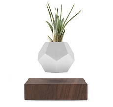 Левiтуючий вазон «Flyte Planter» (горіх)