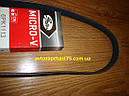 Ремінь генератора ваз 2170, 2171, 2172, 2112 з гур 6PK1113, Audi A3, Citoen Berlingo, Jumpy (Gates), фото 3