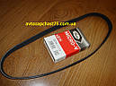 Ремінь генератора ваз 2170, 2171, 2172, 2112 з гур 6PK1113, Audi A3, Citoen Berlingo, Jumpy (Gates), фото 2