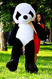 Плюшева панда 200 см, фото 4