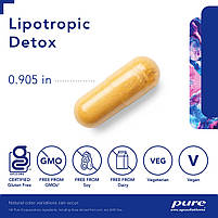 Pure Encapsulations Lipotropic Detox / Здоровий відтік жовчі та метаболізм токсинів у печінці 120 капсул BX048, фото 3