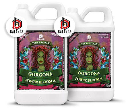 Terra Power GORGONA – POWER BLOOM A&B 250мл, фото 1
