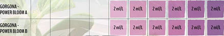 Terra Power GORGONA – POWER BLOOM A&B 250мл, фото 3