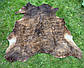 Шкіра корови натуральна, шкіра корови на підлогу 1,8х1,7 м, фото 4