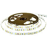 Світлодіодна стрічка SMD 5730 (60 LED/м), білий, IP20, 12В, бобіна від 5 метрів, фото 3