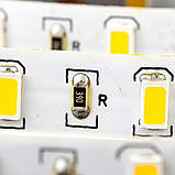 Світлодіодна стрічка SMD 5730 (60 LED/м), білий, IP20, 12В, бобіна від 5 метрів, фото 4