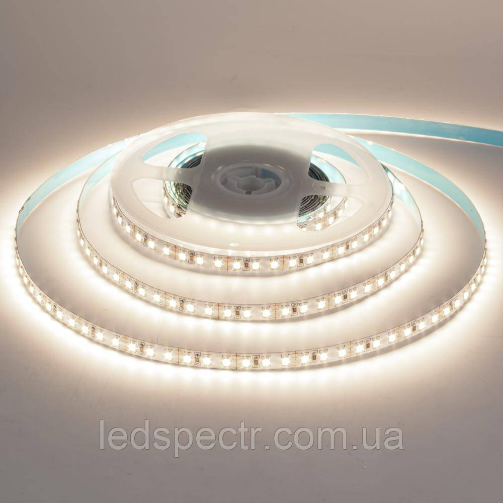 Світлодіодна стрічка AVT PROF SMD 2835 (120 LED/м), нейтральний білий, IP20, 12В -бобіни від 5 метрів
