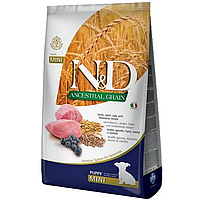 Farmina N&D Low Grain Dog Lamb&Blueberry Puppy Mini корм для цуценят дрібних порід з ягням 2,5 кг