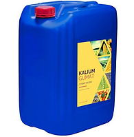 Каліум Гумат, добриво для пшениці, соняшника, бобових, кукурудзи - 20л