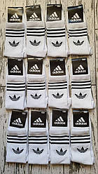 Шкарпетки чоловічі Adidas білі комплект шкарпеток адідас у наборі 12 Пар набір чоловічих шкарпеток