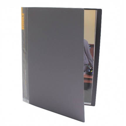 Папка на 10 файлів SCHOLZ 06500-00 А4 СІРА 600мкм (1/24), фото 1