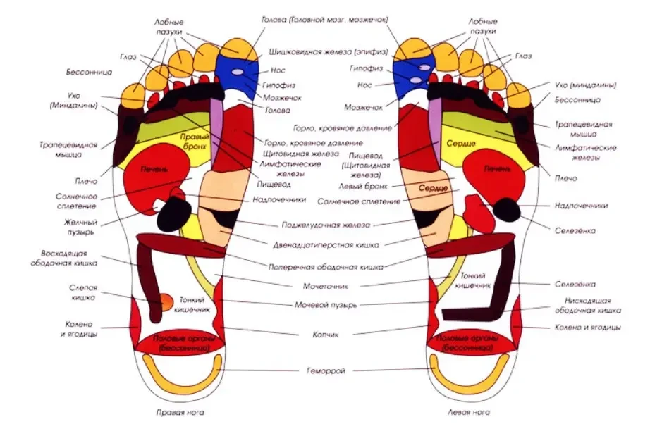 Вибромассажер для ног Shiatsu Foot Massager - фото 7 - id-p1825247781
