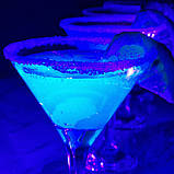 Комплексна суміш Кактусдля Текіли, світяться, при ультрафіолетовому освітленні 6530, фото 5