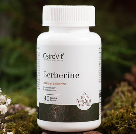 Берберин OstroVit Berberine 10 mg 90 таб, фото 3