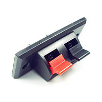 Акустичне гніздо затискач 2-контактне на прямокутній панелі 45x21мм, Акустичний роз'єм банан