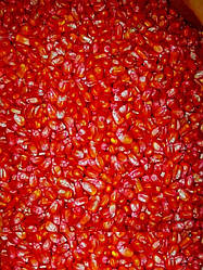 Насіння кукурудза кормова вагова АКВОЗОР ДН 100г