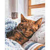 Картина за номерами: Ранковий котик