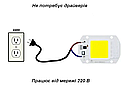 Світлодіодний модуль матриця фітолампа COB LED 20W Fito 220V Ultraviolet, фото 3