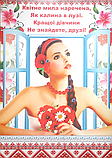 Набір для проведення викупу нареченої, фото 3