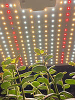 80W 210LED Лампа для растений UFO (Фитолампа Светильник Гроубокс Теплица Зелень Полный спектр)