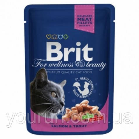 Brit Premium Cat Pouch з лососем і фореллю 100гр