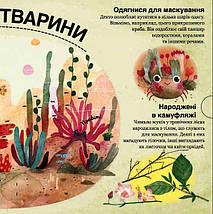 Хто ховається між листям й у воді? (книжка з віконцями) Павла Ганачкова. Книголав, фото 5