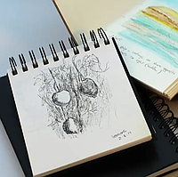 Скетчінг – мистецтво швидкого малюнка