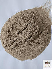 Їстівний сушений зерновий міцелій Їжовика гребінчастого/ Герициум (Hericium erinaceus) 50 гр , мелений