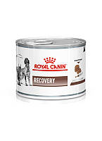 Влажный корм Royal Canin Recovery для собак и котов (паштет) 195 г