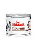Упаковка вологого корму Royal Canin Recovery для собак та котів (паштет) 12 шт х 195 г
