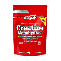 Креатин моногидрат Amix Creatine Monohydrate 250 g