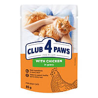Клуб 4 лапы влажный корм для взрослых кошек с курицей в соусе 85г