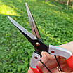 Секатор для орхідей SAGAWATA WS-901, ножиці для збирання фруктів., фото 9