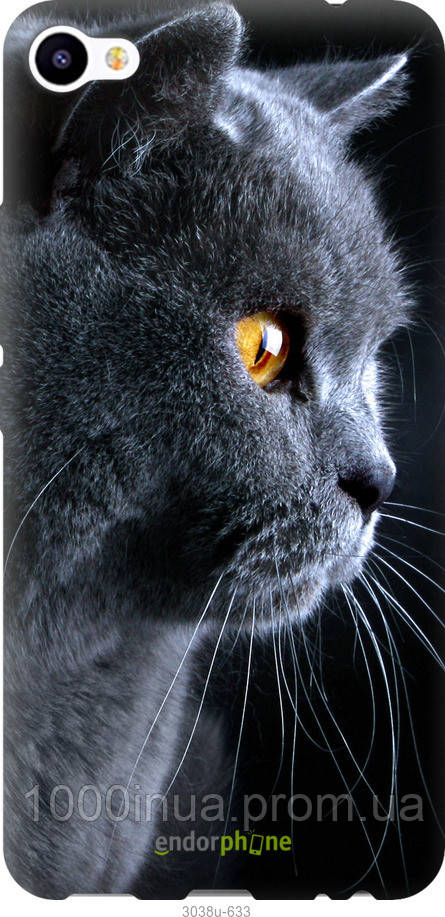 Заставка котики на телефон