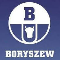 Сайдинг вініловий Боришев Boryszew