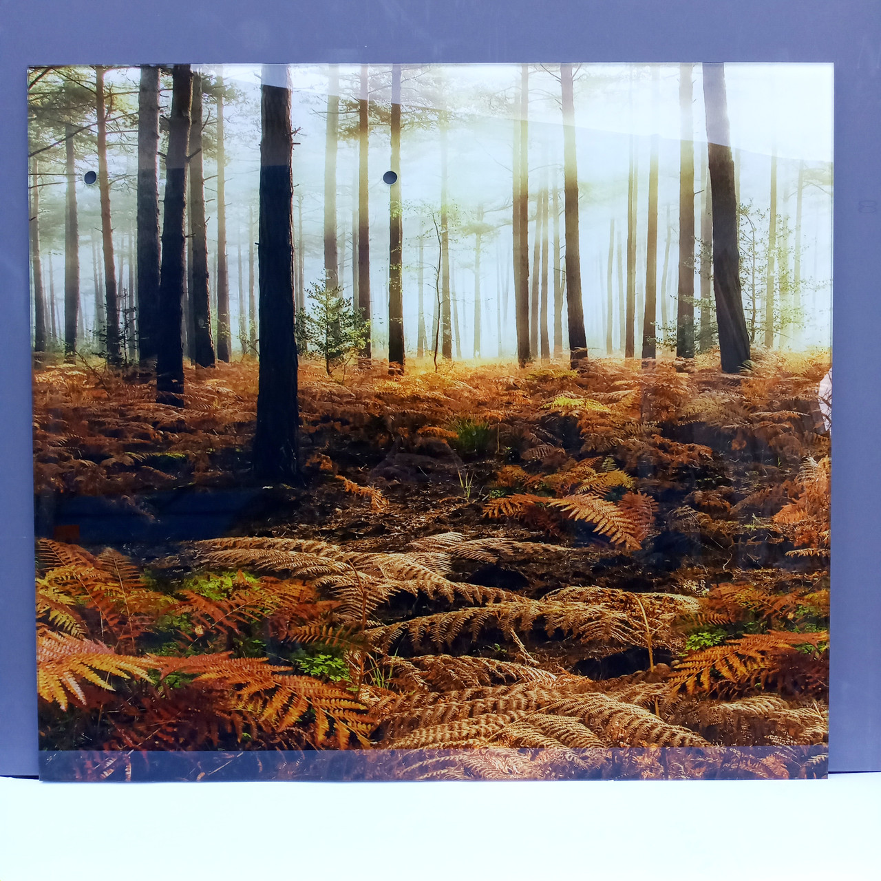 Фартух зі скла для кухні / Скіналі Папороть у лісі восени, фото 1