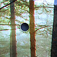 Фартух зі скла для кухні / Скіналі Папороть у лісі восени, фото 7
