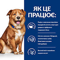 Корм дієтичний для дорослих собак при атопічному дерматиті PD Canine DermComplete Mini 12кг, Яйце і рис, фото 5
