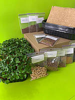 Набір для вирощування мікрозелені Micrograss на 6 врожаїв