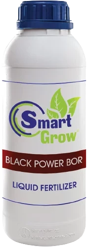 SmartGrow Black Power Bor 1л, Libra Agro - фото 1 - id-p1828691020