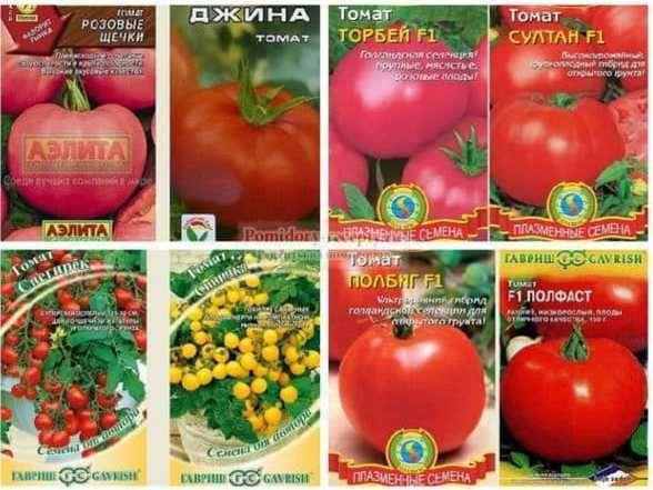 Купить Лучшие сорта томатов для открытого и закрытого грунта более 500 ...