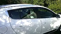 Нижняя окантовка стекол (HB, 6 шт, нерж.) для авто.модел. Renault Megane III 2009-2016 гг