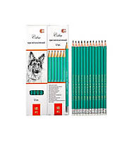 Олівець простий НВ № 2 "С" COLOR-IT CR655 в упаковці 12 шт