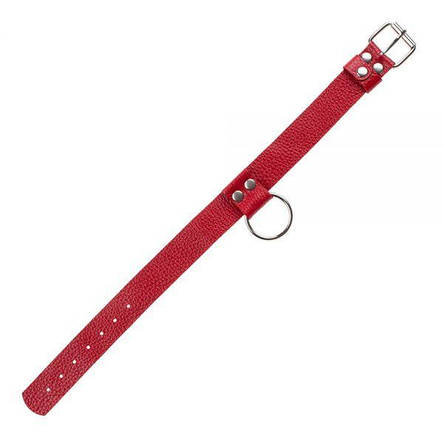 Нашийник Ring of Humiliti, Red, фото 2
