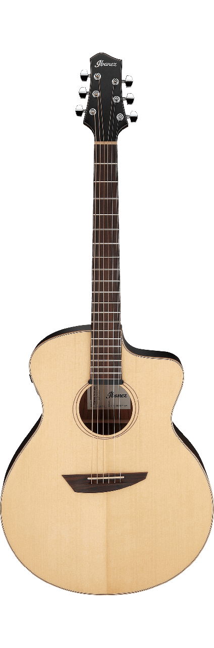 Електро-акустична гітара IBANEZ PA300E NSL